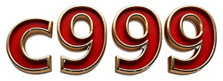 c999 game logo